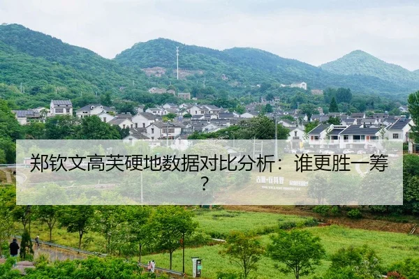 郑钦文高芙硬地数据对比分析：谁更胜一筹？