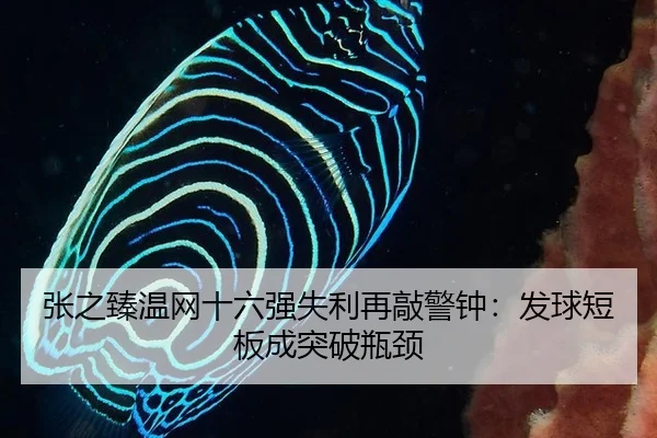 张之臻温网十六强失利再敲警钟：发球短板成突破瓶颈
