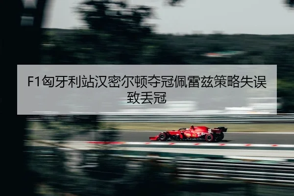 xiong-ya-li-zhan-han-mi-er-dun-duo-guan-pei-lei-zi-ce-lve-shi-wu-zhi-diu-guan-2-419.jpg