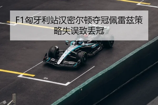 xiong-ya-li-zhan-han-mi-er-dun-duo-guan-pei-lei-zi-ce-lve-shi-wu-zhi-diu-guan-3-205.jpg